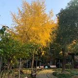 就是个小王子