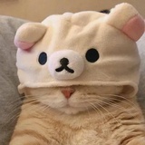 ya