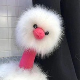 今天就是未来