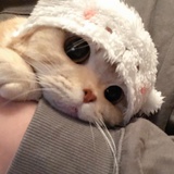 kk