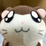 尤利安