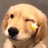 阿枣