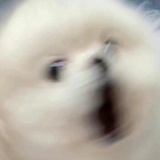 巴巴爸爸