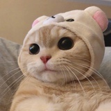 闭嘴🤐