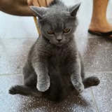 旺仔小馒头