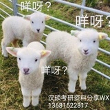 汉硕考研大宝贝