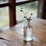 绝境北极熊