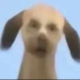 我才是坏蛋