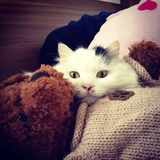 Jenny