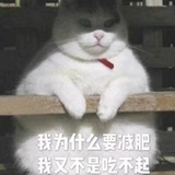 豆小豆