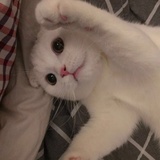 小欣💓✨