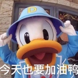 今天也要加油鸭