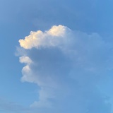 全都是泡沫