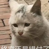 空空