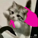 重学智能手机