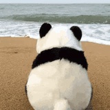 白白的月亮
