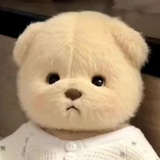 三天一次焦