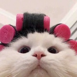 养猪专业户