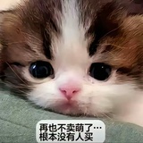 名字小觉