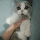 小嘟嘟
