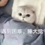 娜娜明永不加班