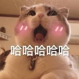 徒维