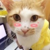 带把少女嘤嘤🌈