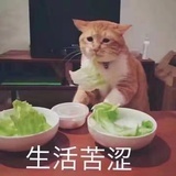 路遥水长