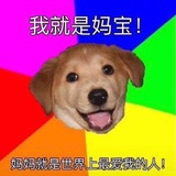 哈哈哈哈哈哈哈