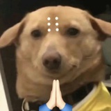 辣椒炒肉