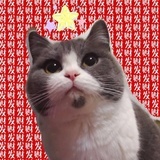 大熊w
