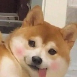 你说神马？