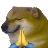 这怎么说好呢