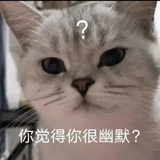 又到梧桐吐绿时