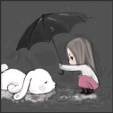 四毛