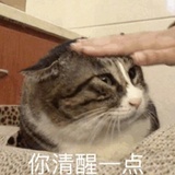 律藤市民