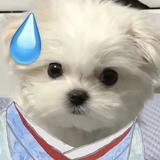 矿泉水女