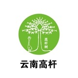 云南高杆