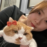 一点🐰