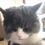 子墨