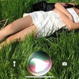 戈壁滩的麦穗