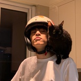 高桥凉介