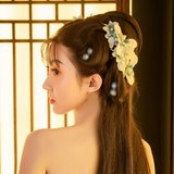 🦋王九梦儿🌙