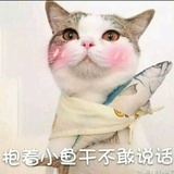 一只小透明