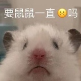 冬天也想7凉面
