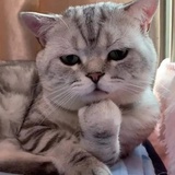 迷糊