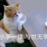 吧拉吧拉α