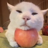 管好自己。