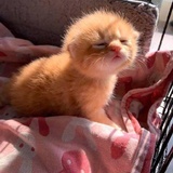 一尾月牙船