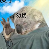 否否